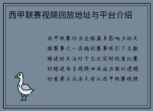 西甲联赛视频回放地址与平台介绍
