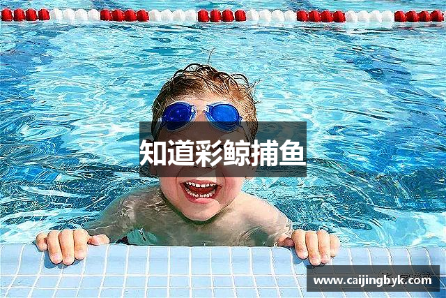 知道彩鲸捕鱼